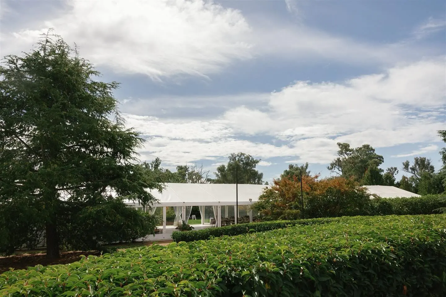 Wedding ceremony place nature outside summer